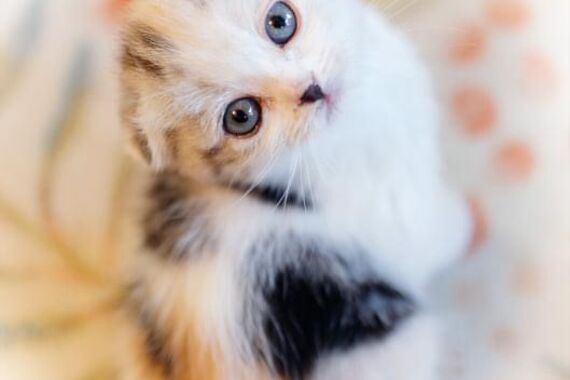 EB509B86-05E2-4ABD-9FE7-DCE3BFE3BBD8