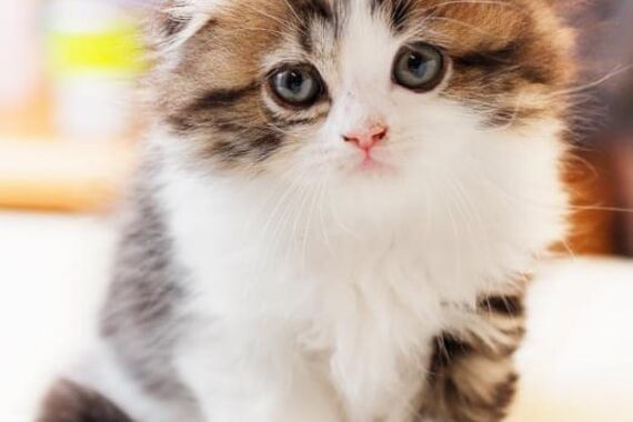 BD33DD8C-2F86-4D2B-B81A-E144826B3A4E