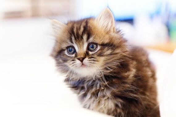 A6F5B29D-1BC7-4703-B39D-112DEE75D5E9