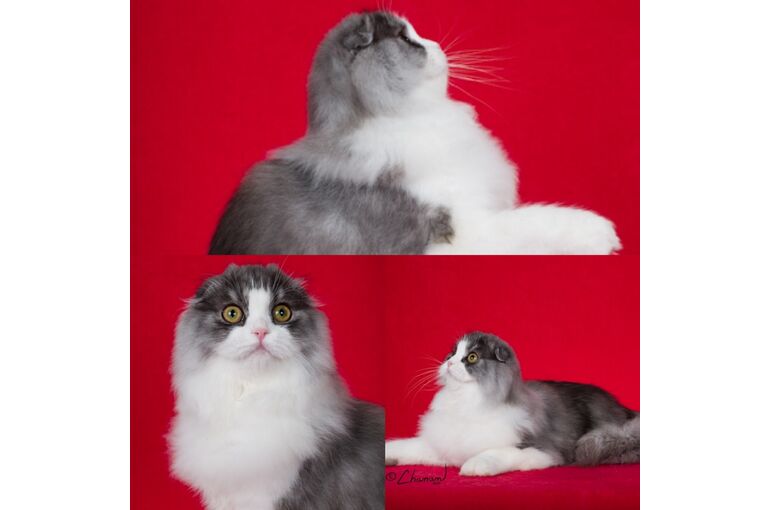 C39DD872-EE00-4A7E-97F1-837263619059