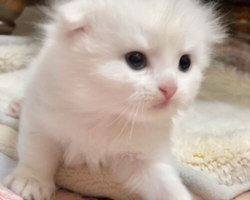 C1ACE31E-8B29-4D3D-8388-7B8A64700D39